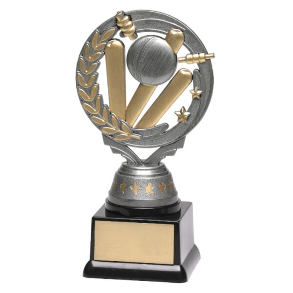 Cricket Silver Torch