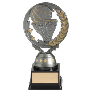 Budget Silver Torch Basketball