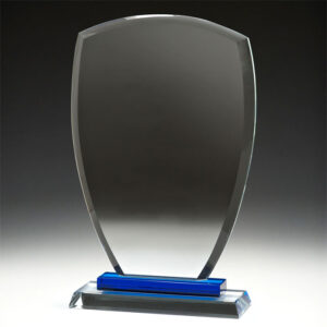 Blue Shield Glass Award