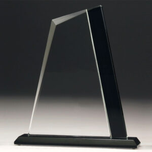 Elite Summit Glass Award