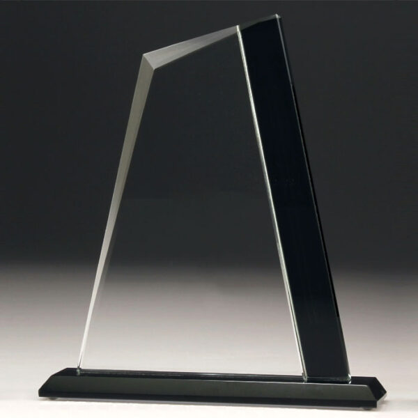 Elite Summit Glass Award
