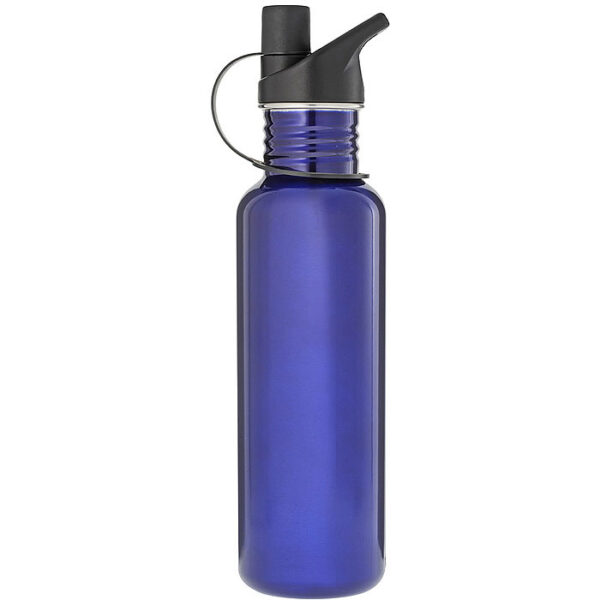 Stainless Steel Water Bottle - Blue