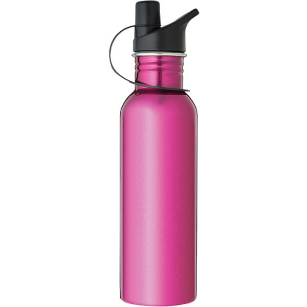Stainless Steel Water Bottle - Pink