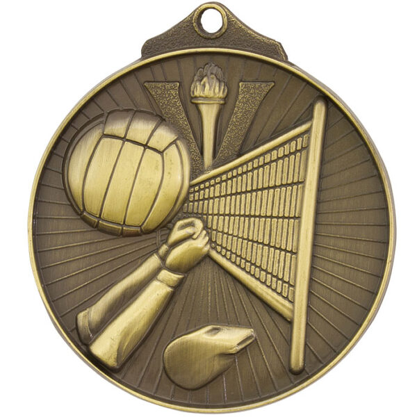 Sunraysia Volleyball Medal