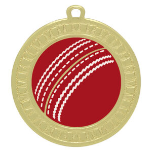 Spark Cricket Medal