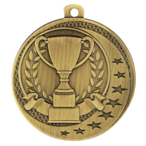 Wayfare Achievement Medal