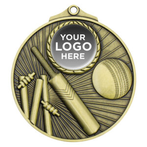 Summit Cricket Medal