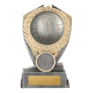 Hero Shield Netball 3D