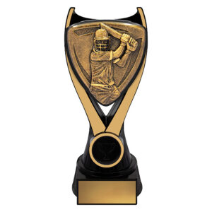 Nova Cricket Batting