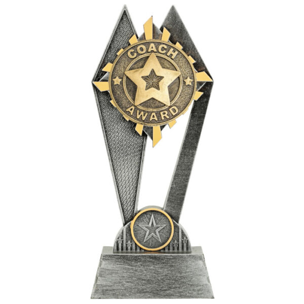 Peak Coach Award