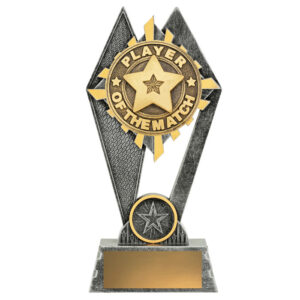 Peak Player of the Match Trophy