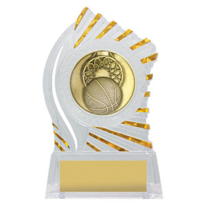 Solar Acrylic Basketball