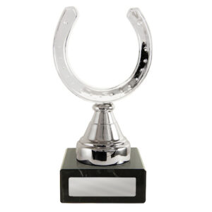 Silver Horseshoe