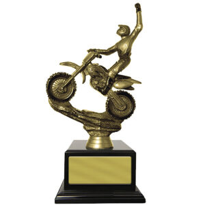 Moto-X Bike Gold