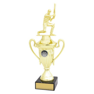 Cricket Value Cup