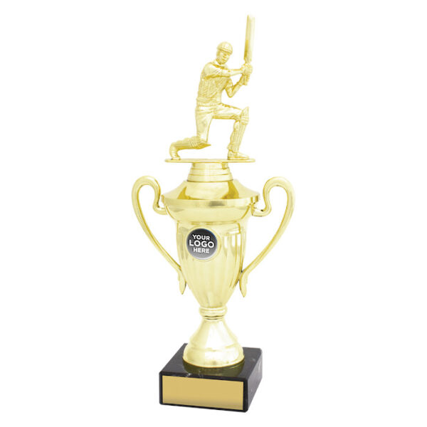 Cricket Value Cup