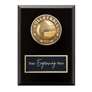 Spartan Black Plaque Volleyball