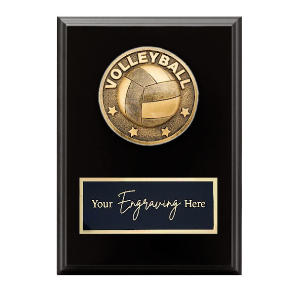 Spartan Black Plaque Volleyball