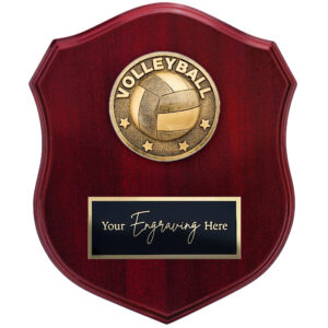 Spartan Shield Volleyball