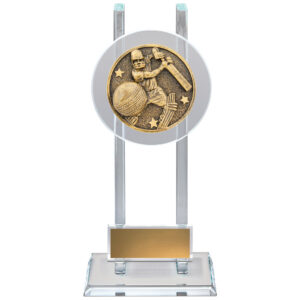 Spartan Glass Cricket Batting