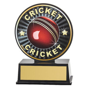 Vibe Cricket