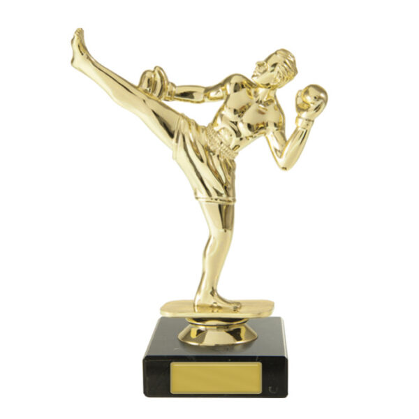 Kickboxer Trophy