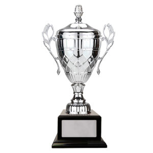Silver Whopper Cup