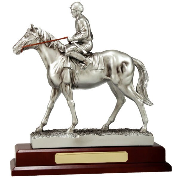 Silver Jockey Award