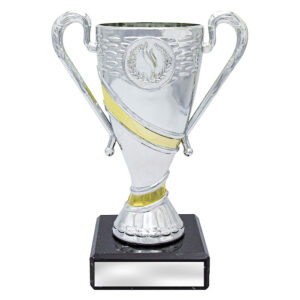 Revel Cup - Silver / Gold