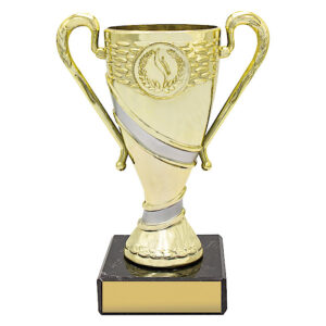 Revel Cup - Gold / Silver