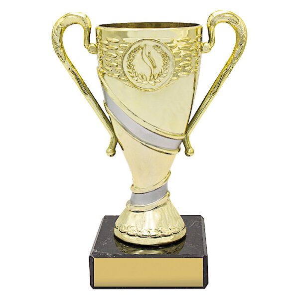 Revel Cup - Gold / Silver