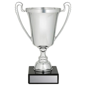 The Moment Silver