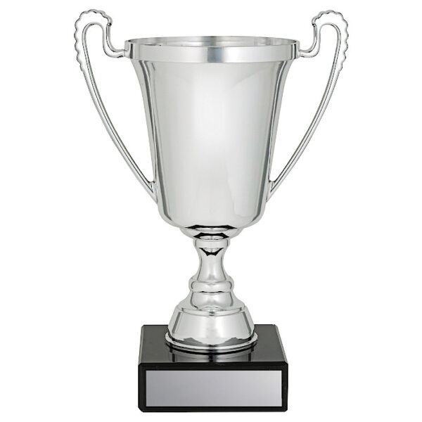 The Moment Silver